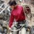 forestry management